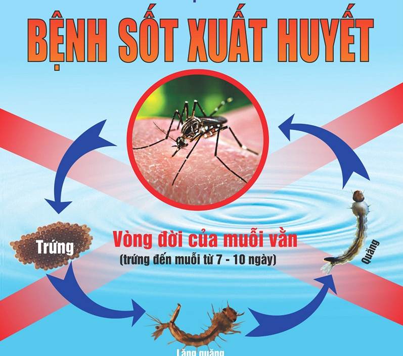 Bệnh sốt xuất huyết và bệnh Zika có giống nhau không?
